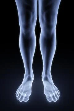 Feet Stock Illustration