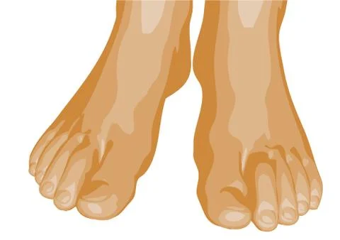 Feet Stock Illustration