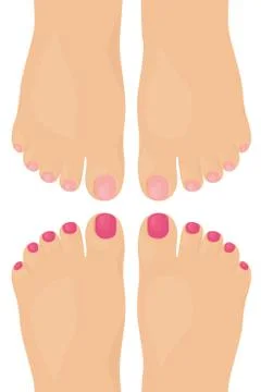 Feet Stock Illustration