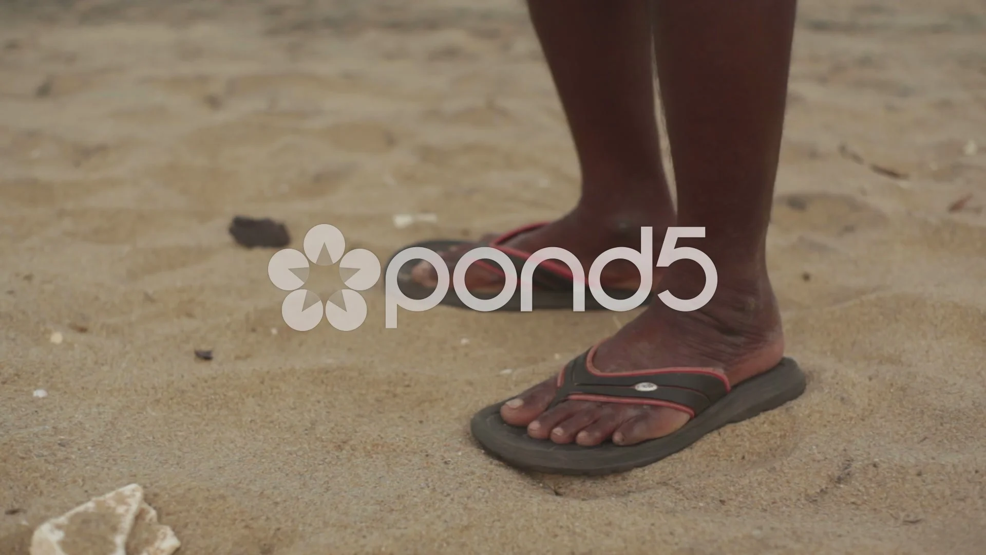 Feet of Indian man on the sand at the beach with a fly on them