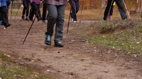 The feet of a large group of people practicing Nordic Walking.slow motion Video stock 115656727
