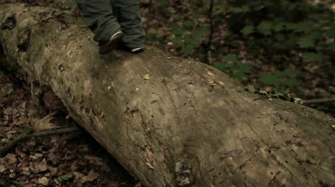 FEET ON THE LOG Stock Footage 68755608