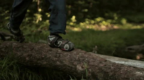 FEET ON THE LOG Stock Footage 68755684