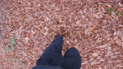Feet lost in the leaves while walking in the autumn leaves. recording pov and Stock Footage 170572422