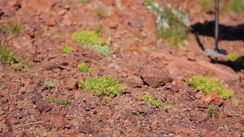 Feet man walking on a hill Stock Footage