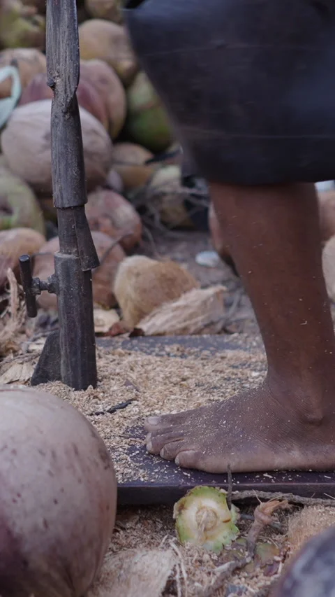 Feet of a man at work surrounded by coconuts Stock Footage 265575061
