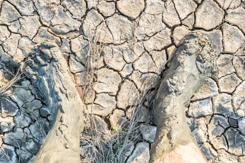 Feet in the mud on a beautiful background. Bare feet in clay Stock Photos
