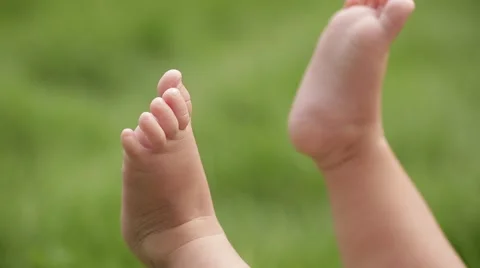 Feet of the newborn in the grass Stock Footage 68200477