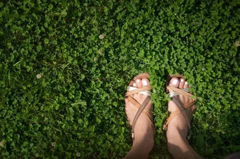 Feet with painted light pink nails in grass Stock Photos
