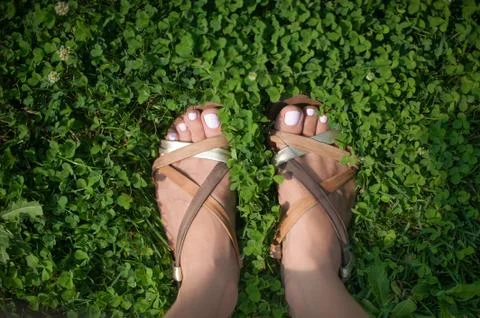 Feet with painted light pink nails in grass Stock Photos