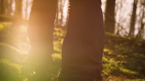 Feet of a person walking in the forest during sunset Stock Footage 81536667