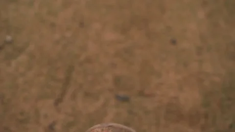 Feet on playground swing Stock-Footage 313453029
