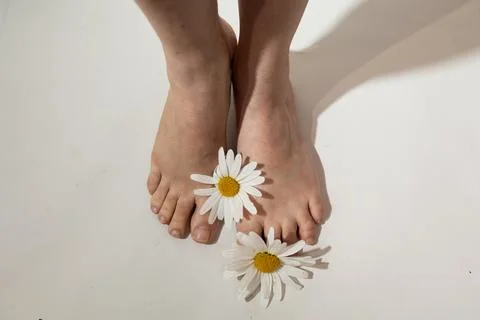 Feet Resting on a Surface Adorned With Simple Daisies Highlighting Natural Stock Photos