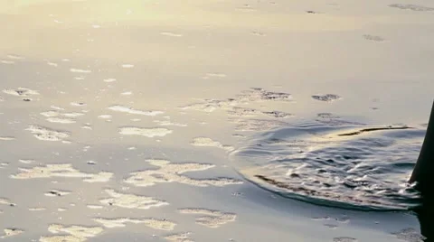 Feet in river Stock Footage 8764818