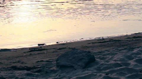 Feet in river Stock Footage 8764844