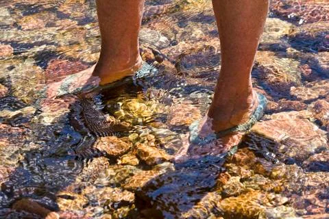 Feet in the River Stock Photos