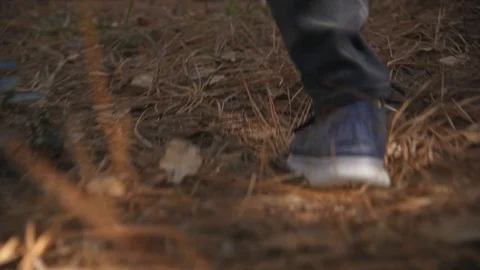 Feet running though the woods Stock Footage 104672645