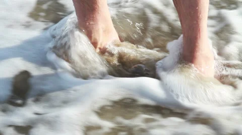 Feet in the Sand, Waves Stock Footage 34543009