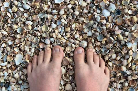 Feet on seashells Stock Photos