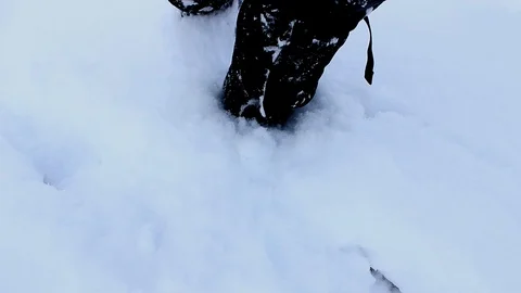 Feet in the snow Stock Footage 86812122