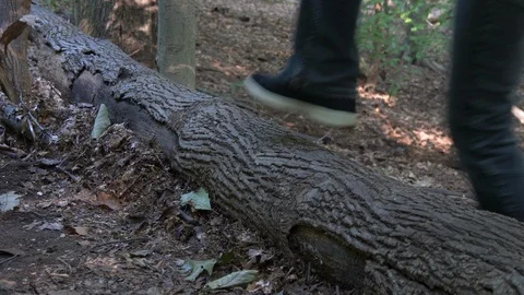 Feet step up and over a log on a trail2 4K Stock Footage 94236467