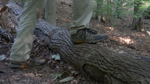 Feet step over log on trail3 Stock Footage 94227744