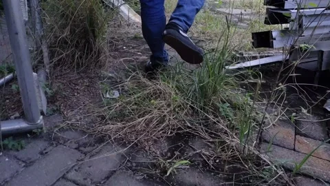 Feet stepping on the grass Stock Footage 219521034