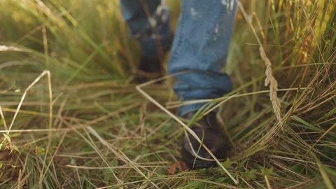 Feet walking on the grass, close-up of steps on the grass Stock Footage 317035111