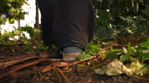 Feet walking through fallen twigs and sticks in woodland Stock Footage 346771862