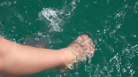 Feet in water Stock-Footage 20168519