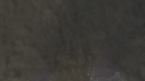 Feet Wave Video stock 168110291