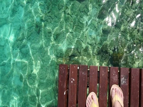 Top view of person's feet in sandals standing on wooden dock Stock Photo by  wirestock