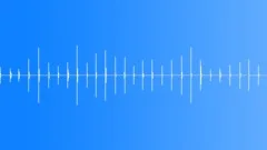 Feet,Runners,Con-Dirt,Run,SinglesSound Effect