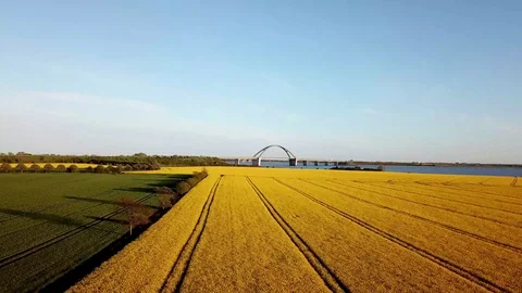 Fehmarn Bridge and Rapeseed Field Aerial View Stock Footage 107938388