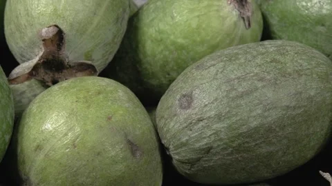 Feijoa close-up. Black background. Many organic fruit. Stockbeeldmateriaal 144385528