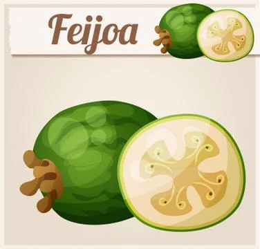 Feijoa fruit. Cartoon vector icon Illustrazione stock