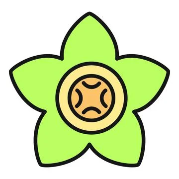 Feijoa fruit cross section flat icon Stock Illustration
