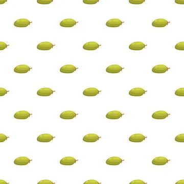 Feijoa fruit seamless pattern on white background Stock Illustration