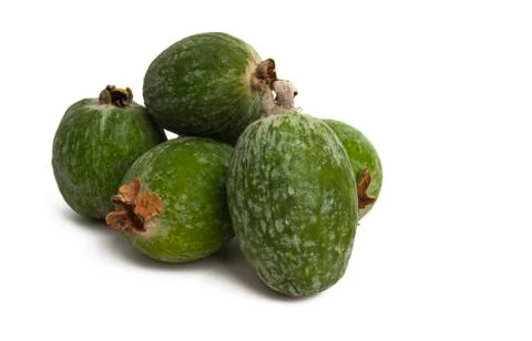 Feijoa isolated Stock Photos