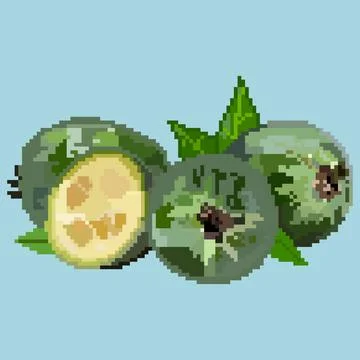 Feijoa with leaves Stock Illustration