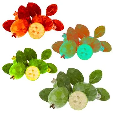 Feijoa Low Poly Illustrazione stock