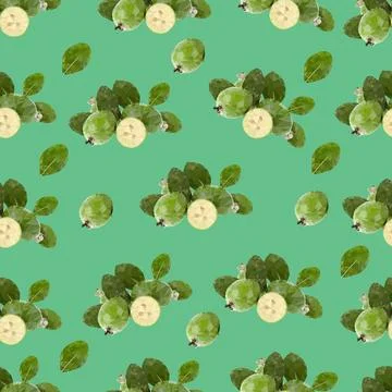 Feijoa pattern Stock Illustration