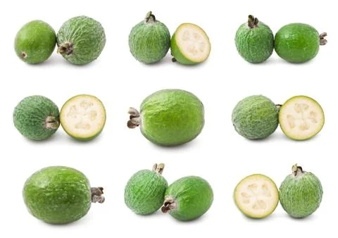 Feijoa Stock Photos