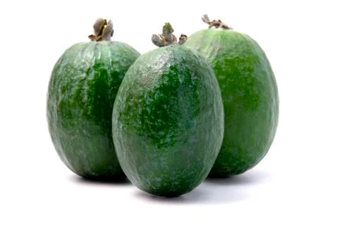 Feijoa Stock Photos