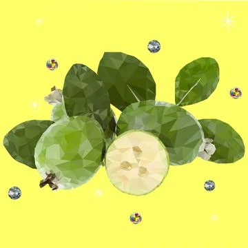 Feijoa plant Stock Illustration