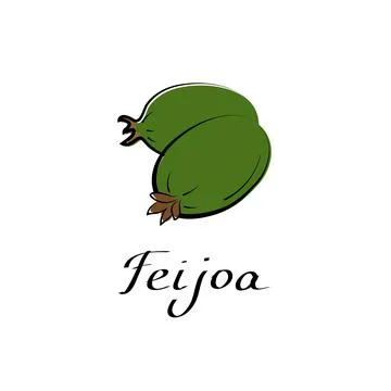 Feijoa vector cartoon flat illustration. Brazilian guava steen sign. Fruit berry Stock Illustration