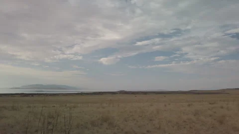 Feild UHD Stock Footage 176051701