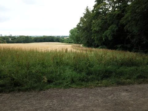 Feld und Wald Stock Photos