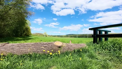 Feld und Wolken Stock Footage 241688342