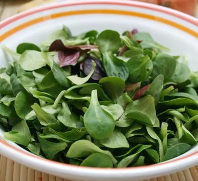 Feldsalat Stock Photos